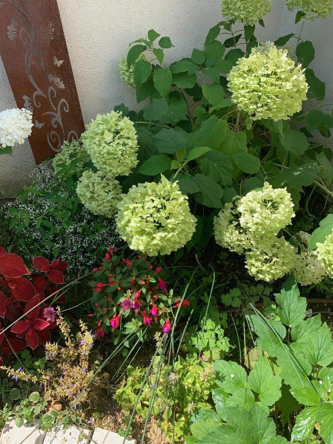 Sainte-Colombe  La Glycine B&B מראה חיצוני תמונה