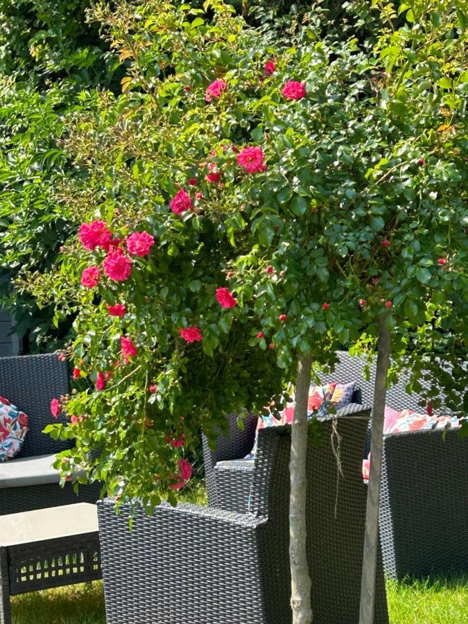 Sainte-Colombe  La Glycine B&B מראה חיצוני תמונה